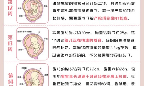 权威体内白细胞过多有什么症状吗平台,分享专业白细胞过多的症状知识_体内白细胞过多有什么症状网