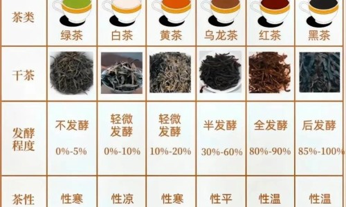 人体白细胞多了会怎样-权威体内白细胞过多有什么症状吗平台,分享专业白细胞过多的症状知识_体内白细胞过多有什么症状网